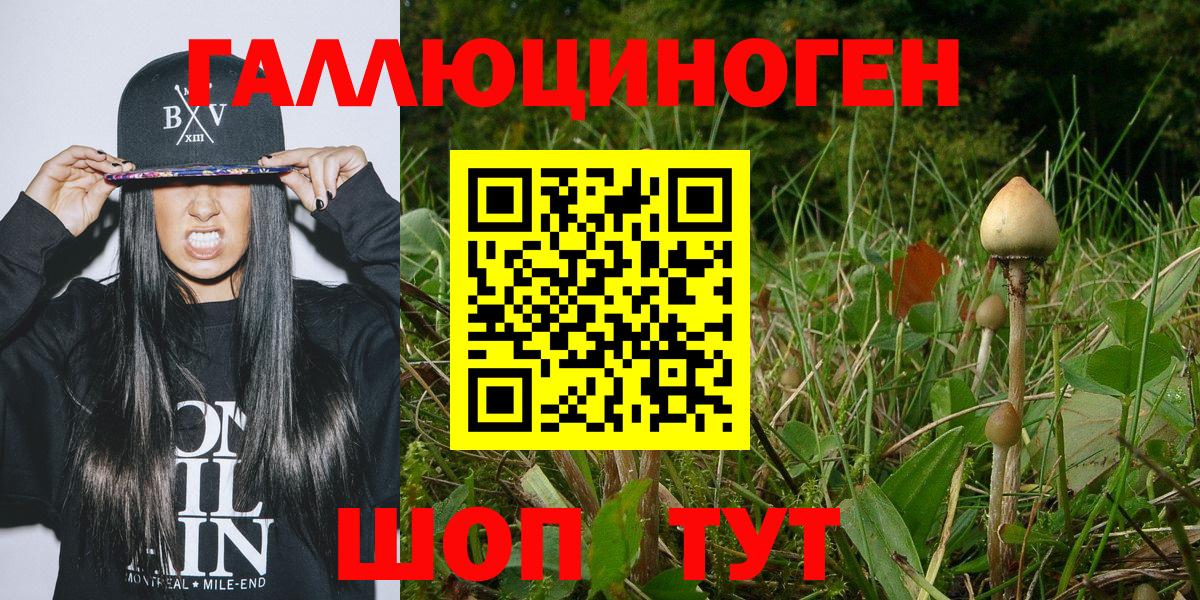 Лесосибирск  Псилоцибиновые грибы Psilocybine cubensis  Вход с VPN 